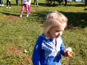 Img 20191008 110412135 - Bluffview Montessori School