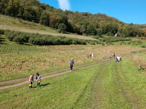Img 20191008 110739015 - Bluffview Montessori School