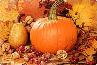 Fall Scene Main - Bluffview Montessori School